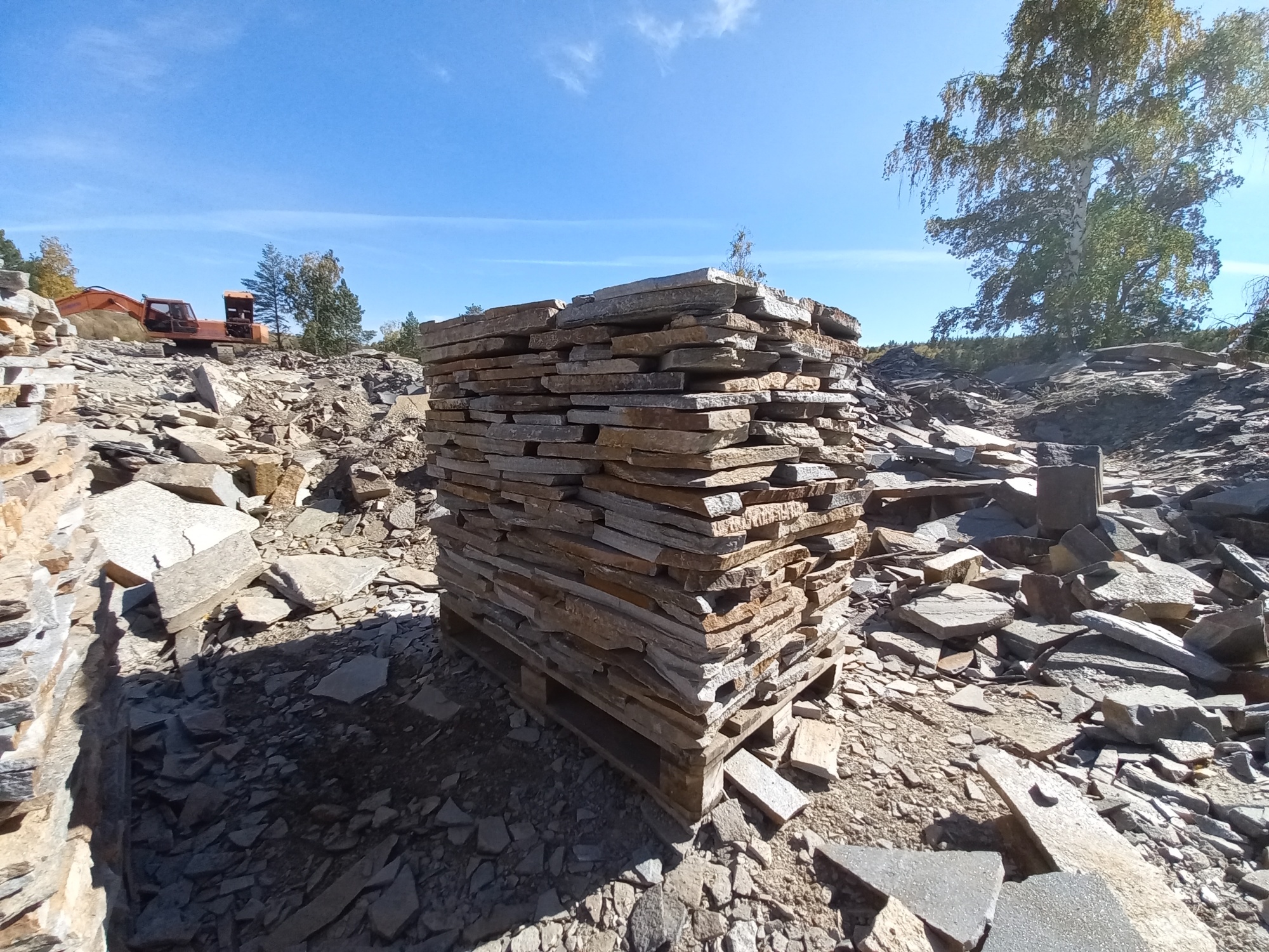 Плитняк златолит серебристый для мощения на бетон купить в Кубинке